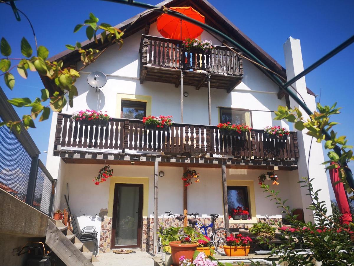 Ferien- Und Businesswohnung Relax Im Ersten Stock Sonnen Exteriör bild